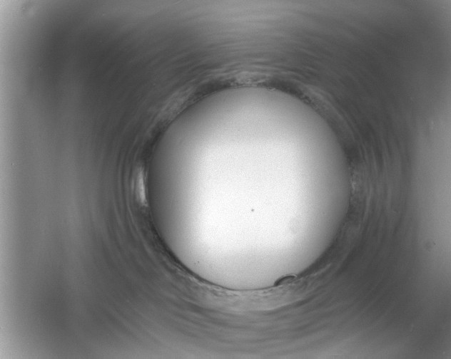 X0000060740046200512011431