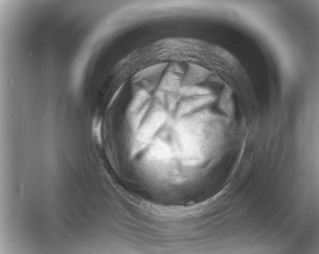 X0000060740047200512011431