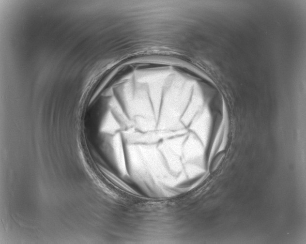 X0000060740049200512011431