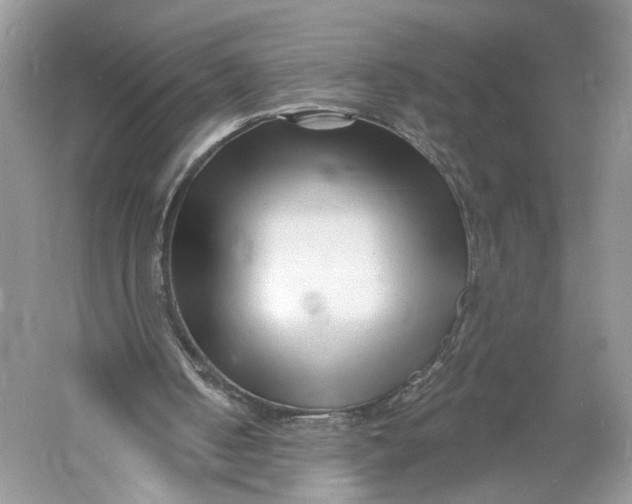 X0000060740050200512011431