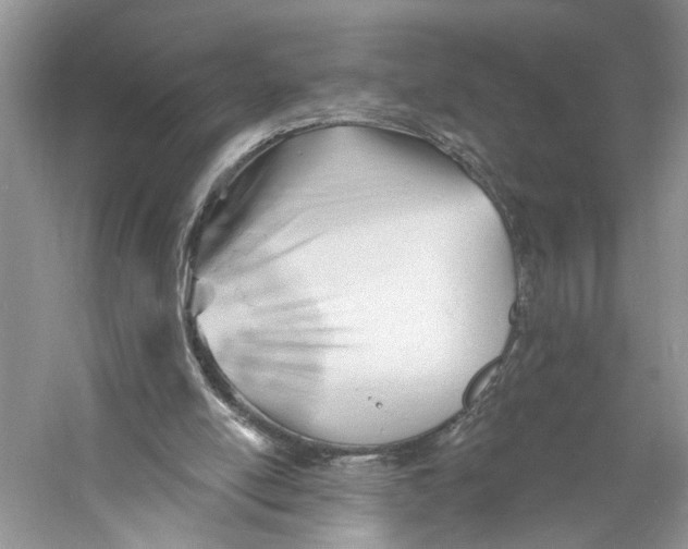 X0000060740054200512011431