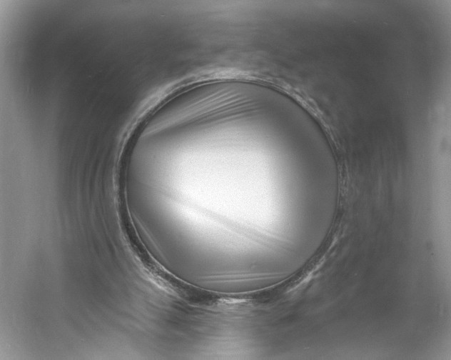 X0000060740055200512011431