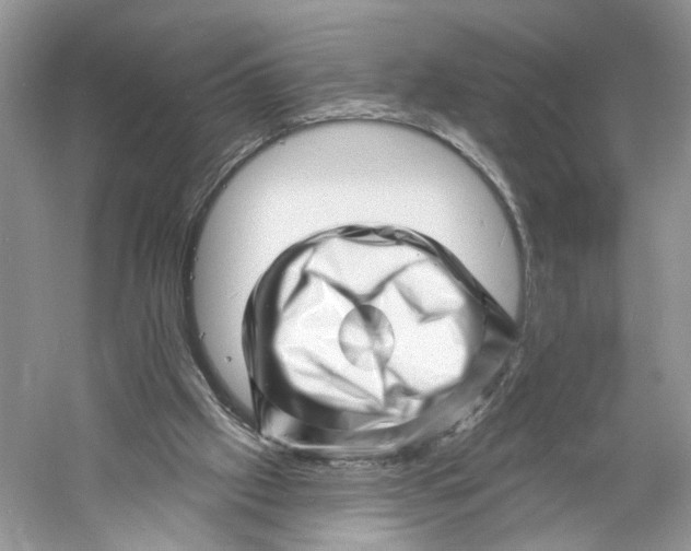 X0000060740057200512011431