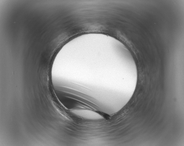 X0000060740059200512011431