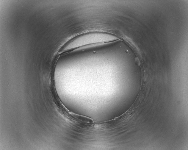 X0000060740060200512011431