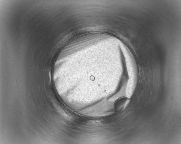 X0000060740061200512011431