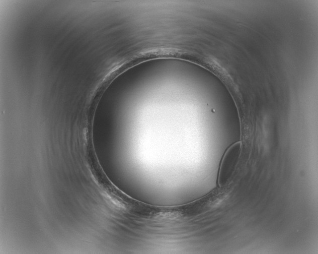 X0000060740063200512011431