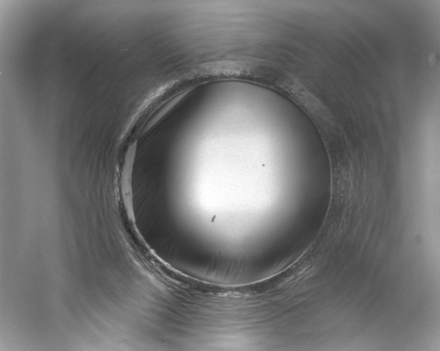 X0000060740064200512011431