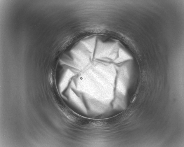 X0000060740069200512011431