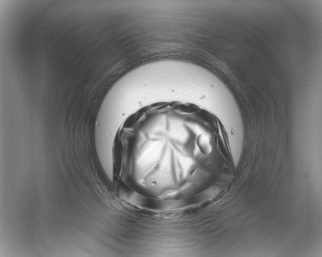 X0000060740073200512011431