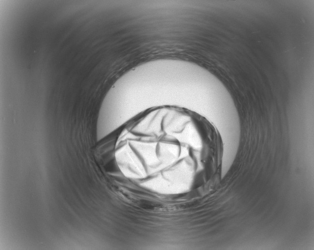 X0000060740079200512011431