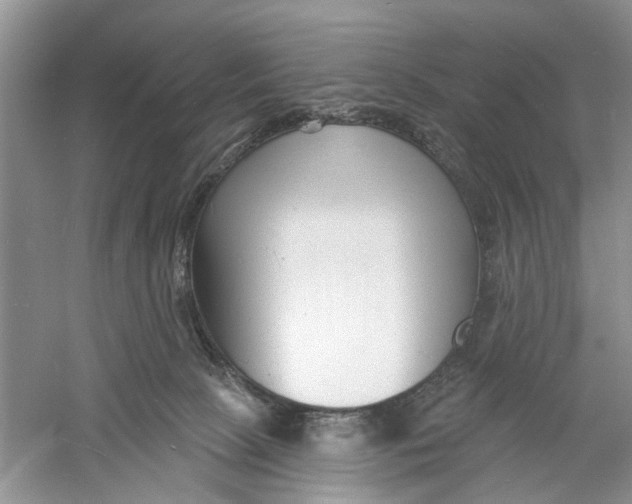 X0000060740081200512011431