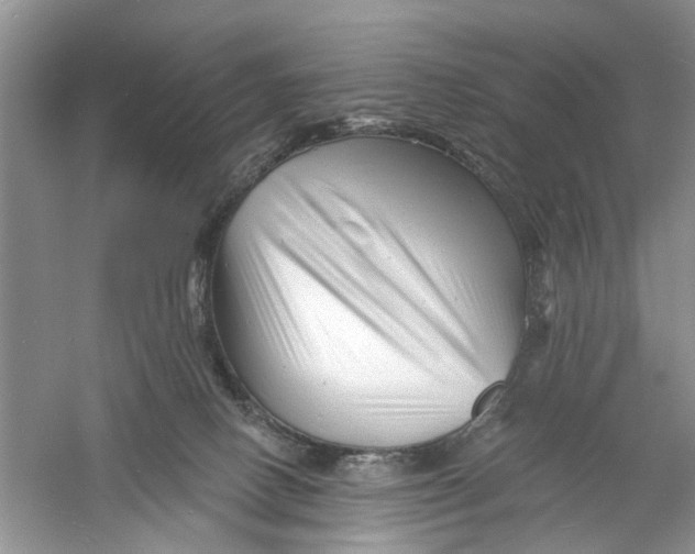 X0000060740082200512011431