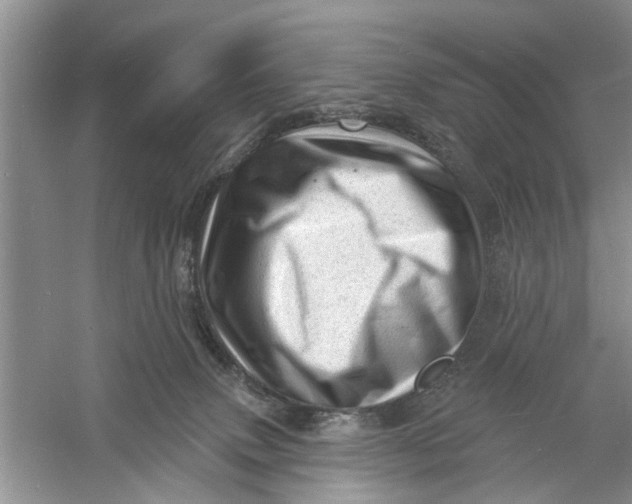 X0000060740083200512011431