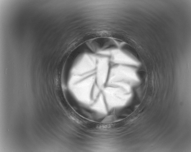 X0000060740084200512011431