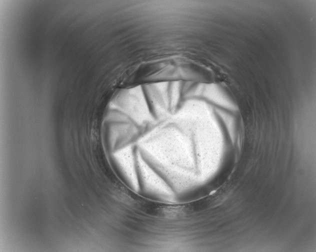 X0000060740085200512011431