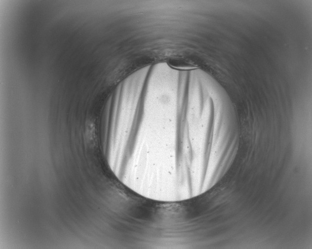 X0000060740087200512011431