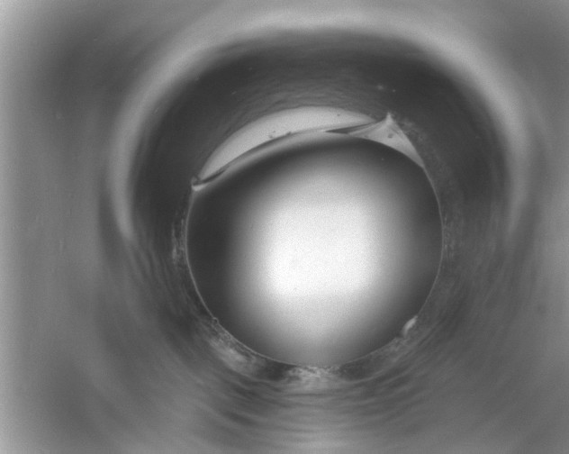 X0000060740093200512011431