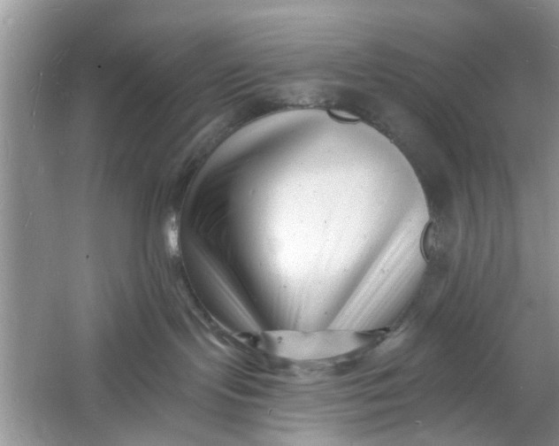 X0000060740095200512011431