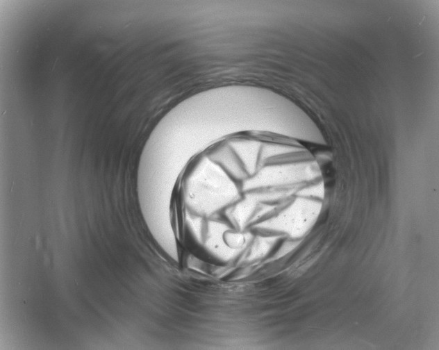 X0000060740096200512011431