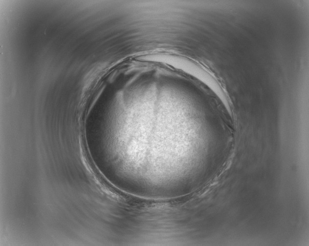 X0000060740097200512011431