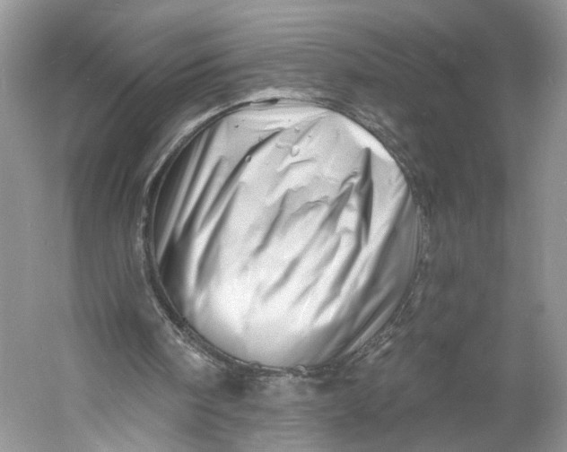 X0000060740098200512011431