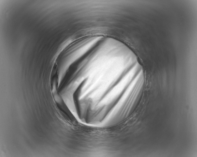 X0000060740099200512011431