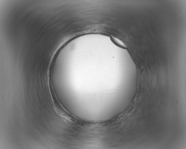 X0000060740100200512011430