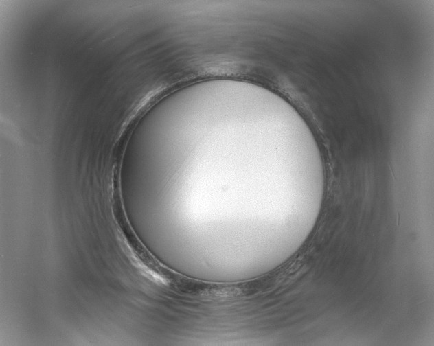 X0000060740106200512011430