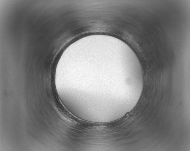 X0000060740108200512011430