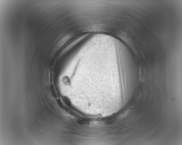 X0000060740109200512011430