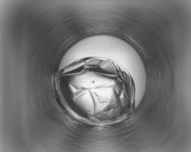 X0000060740117200512011430