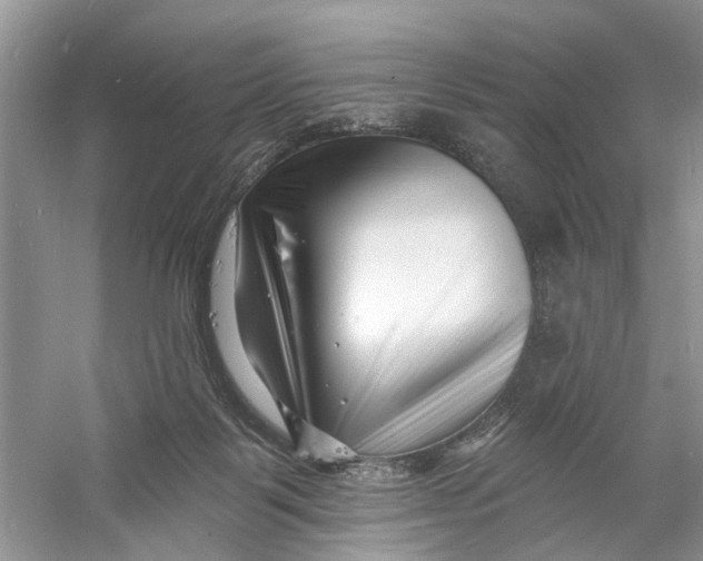 X0000060740123200512011430