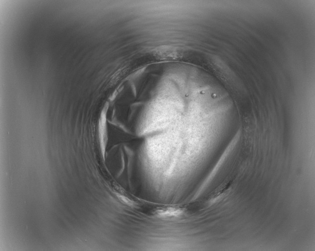 X0000060740125200512011430