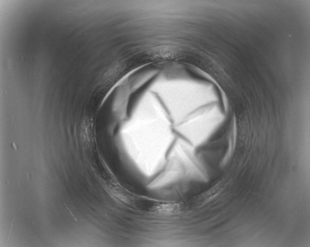 X0000060740126200512011430