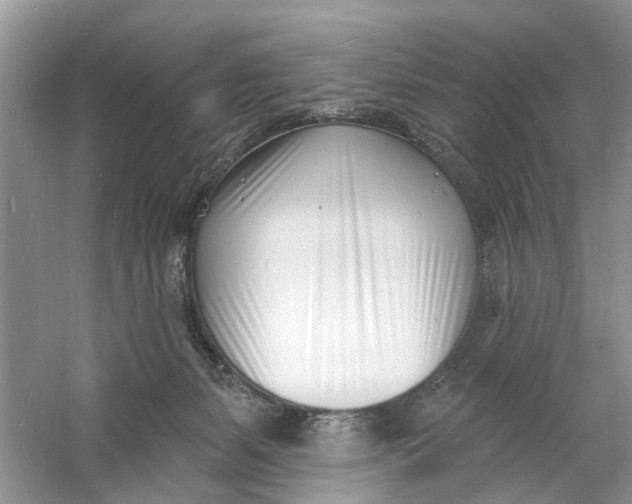 X0000060740127200512011430