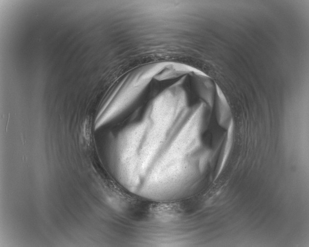 X0000060740129200512011430