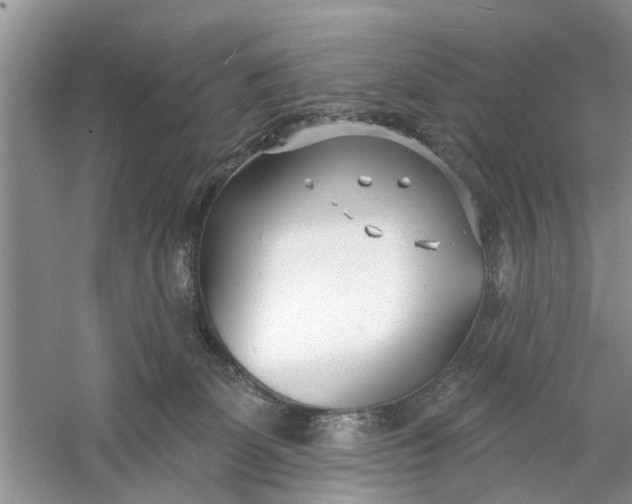 X0000060740131200512011430