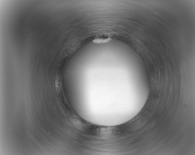 X0000060740134200512011430