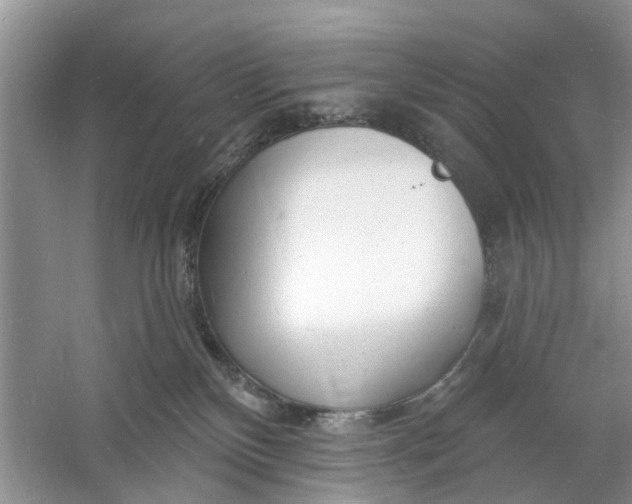 X0000060740136200512011430