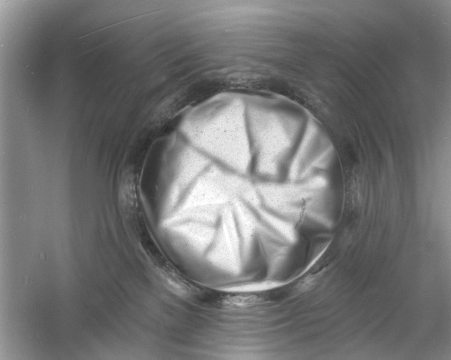 X0000060740137200512011430