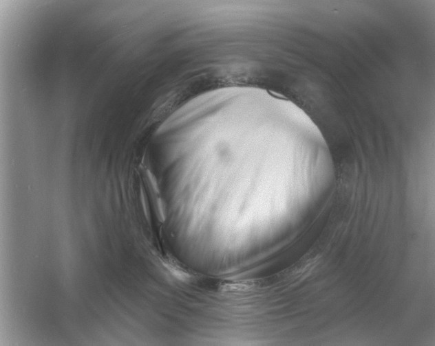 X0000060740139200512011430