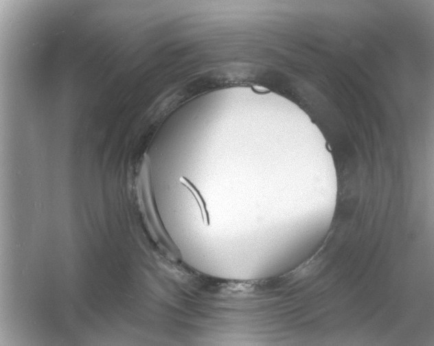 X0000060740140200512011430