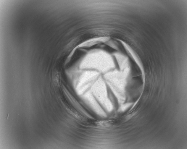 X0000060740141200512011430