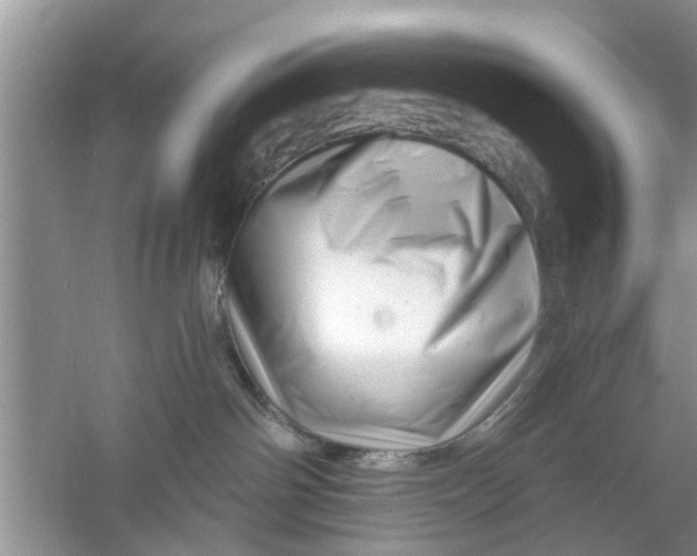 X0000060740142200512011430