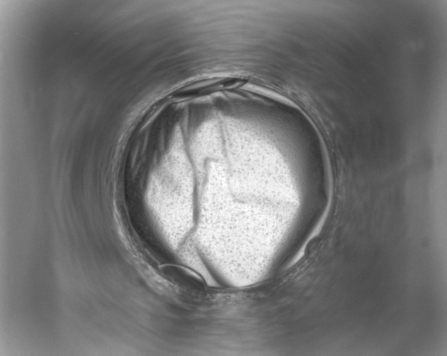 X0000060740145200512011429