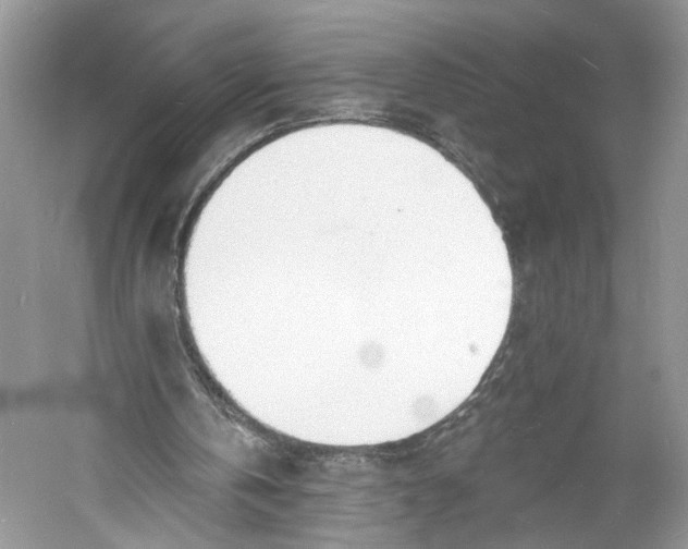 X0000060740146200512011429