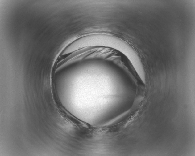 X0000060740148200512011429