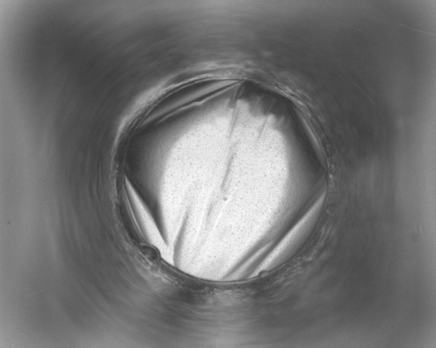 X0000060740149200512011429