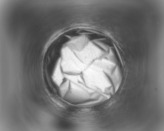 X0000060740151200512011429